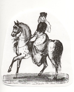 Side Saddle (watermark)